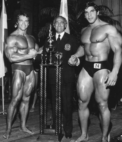 lou ferrigno arnie