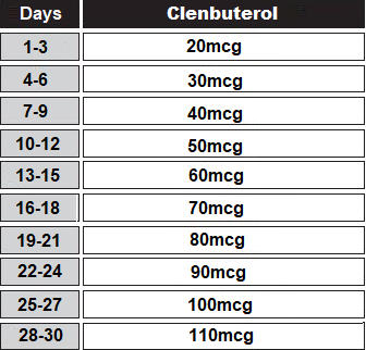 clenbuterol-cycle-for-women.png