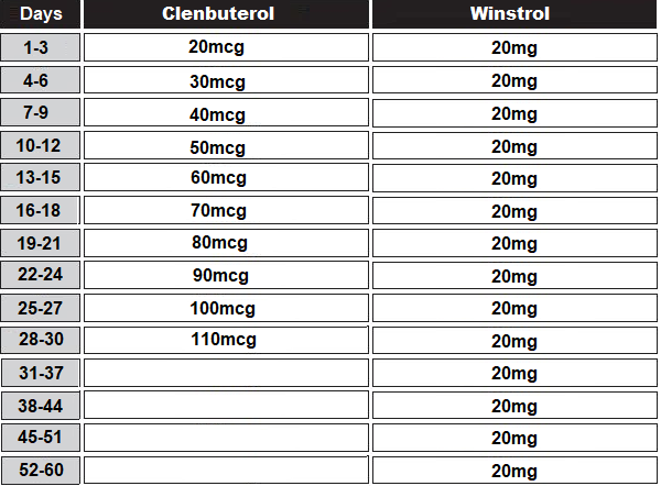 clenbuterol winstrol cycle