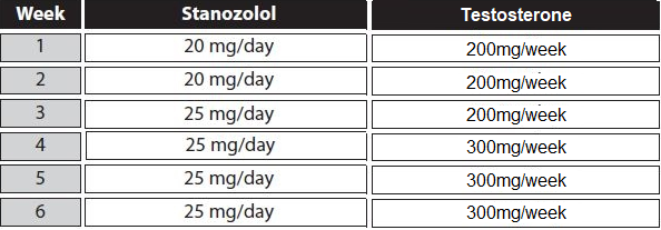 winstrol testosterone cycle