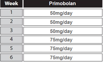 primobolan cycle for women