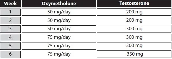 anadrol and testosterone cycle