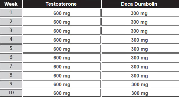 cycle déca testostérone