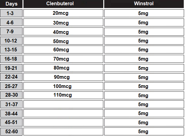 clenbuterol winstrol cycle for women