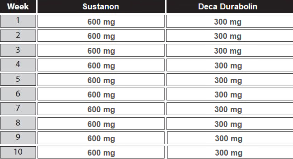 sustanon 250 deca cycle