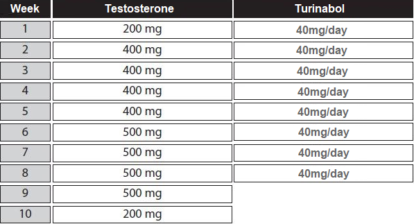 cycle turinabol testostérone