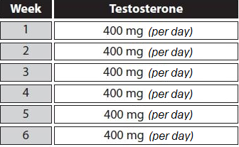 testosterone undecanoate cycle