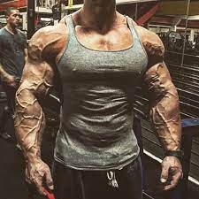 vascularity