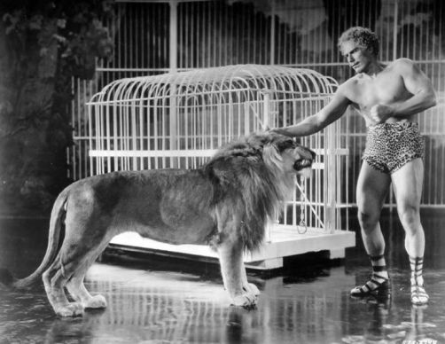 Sandow the Lion Tamer