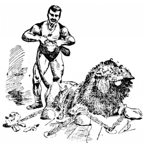 sandow lion