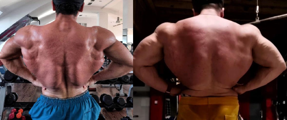 sarms to steroids before and after