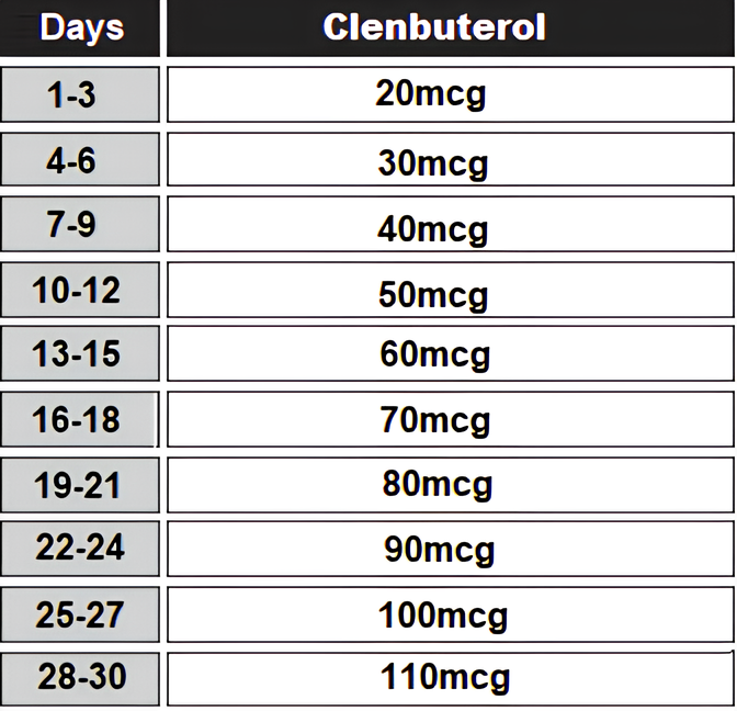clenbuterol cycle