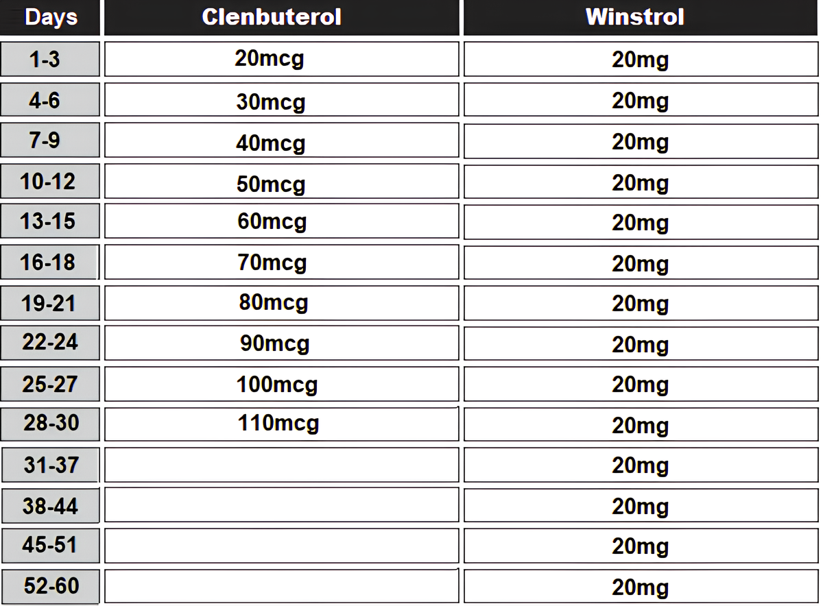 clenbuterol and Winstrol cycle