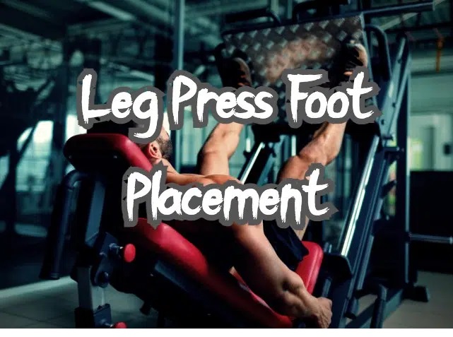 leg press